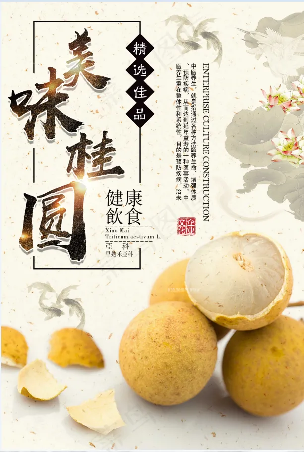 桂圆psd模版下载
