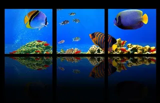 梦幻海底三联画（合层）图片