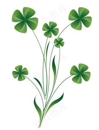 三叶草的叶子的植物