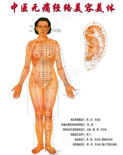 人体经络图图片
