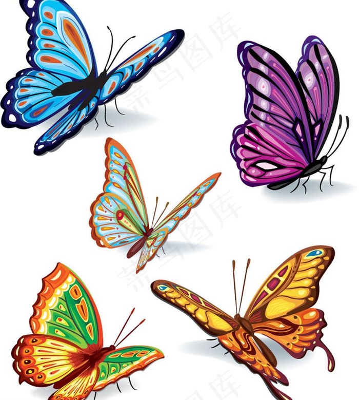 逼真彩色蝴蝶图片