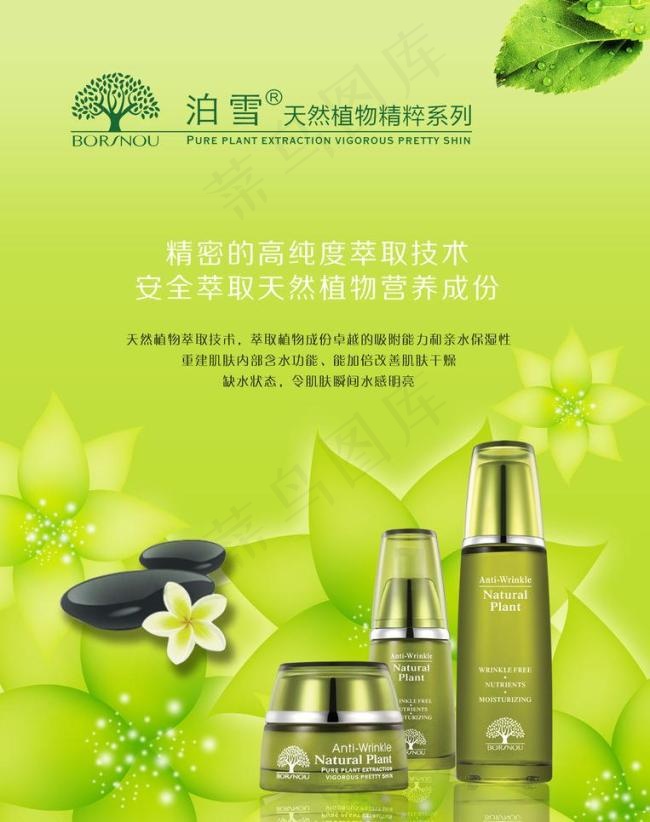 植物精油海报psd模版下载
