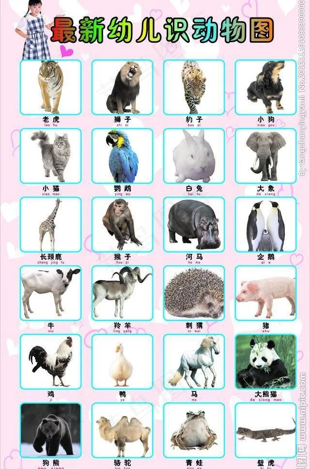 幼儿识图图片cdr矢量模版下载