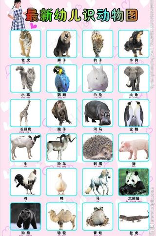 幼儿识图图片