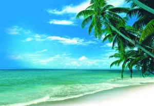 湛蓝海天椰树海滩图片