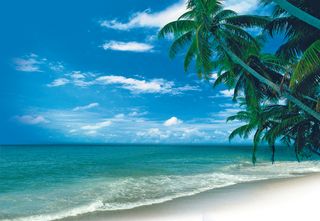 湛蓝海天椰树海滩图片