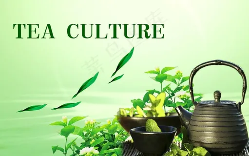 茶海报图片