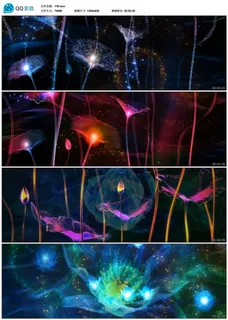 梦幻花开LED视频素材
