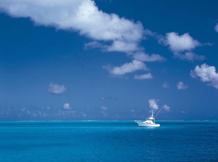 海洋遨游风光图片 海洋遨游风光图片