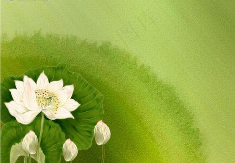 精美背景psd模板图片