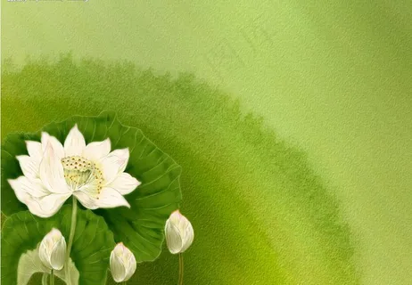 精美背景psd模板图片