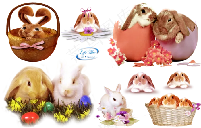 可爱兔子分层素材免扣大图