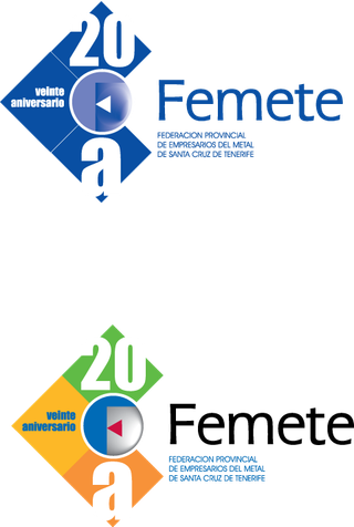 20周年纪念femete标志