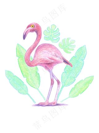 水彩手绘火烈鸟婚礼请柬海报EPS矢...