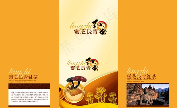 灵芝红茶包装图片psd模版下载