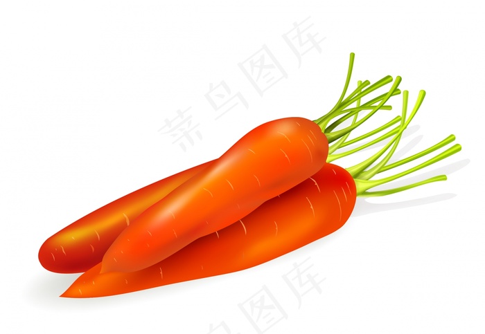胡萝卜分离ai矢量模版下载