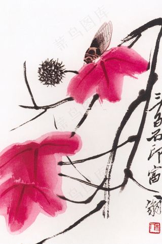 枫叶寒蝉 图