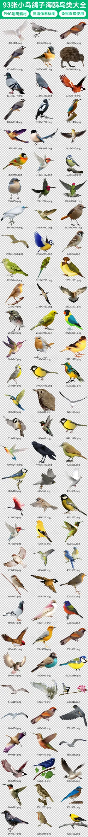 唯美卡通各种鸟类鸽子海鸥素材