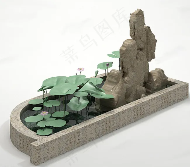 莲花池图片