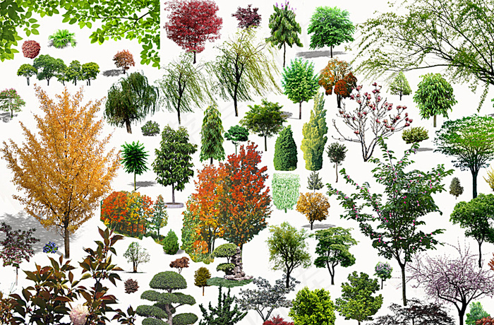 植物景观 PSD素材图片(5184X3456(DPI:300))psd模版下载
