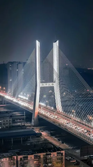 和平大桥高清摄影图片