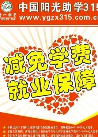 中国阳光助学315海报图片