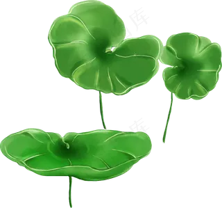 54款荷花荷叶莲花水彩荷花荷叶PN...