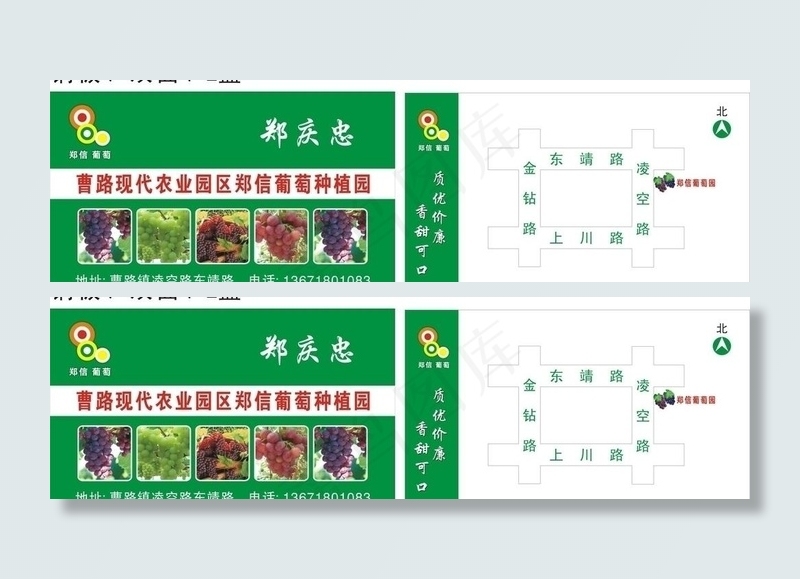 葡萄名片图片cdr矢量模版下载