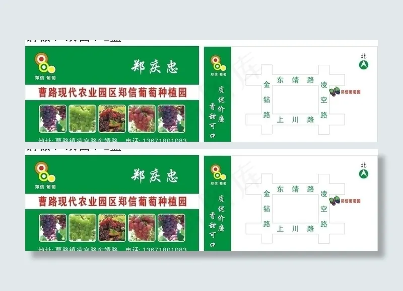 葡萄名片图片cdr矢量模版下载