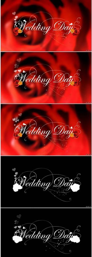 婚庆开场婚礼片头文字特效高清视频