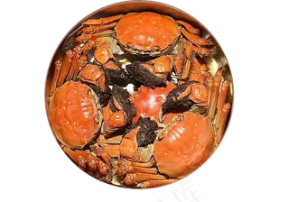 螃蟹   免扣 素材 海鲜
