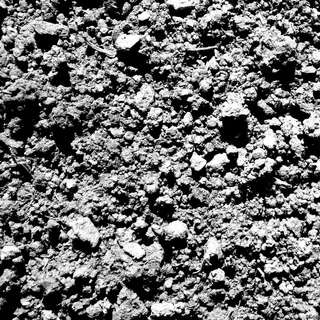 室内盆栽植物模型必备贴图 室内盆栽植物模型必备贴图