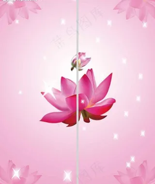 漂亮的荷花移门图案图片