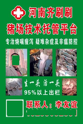 齐刷刷不干胶500张40X60CM 副本