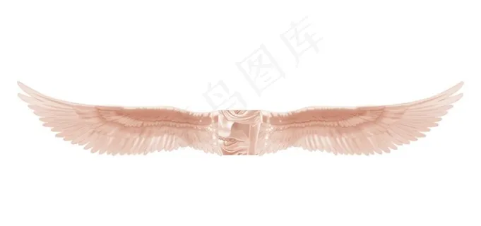 天使翅膀图片