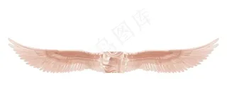 天使翅膀图片