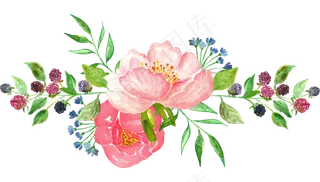 清新手绘花卉小鸟蝴蝶绿叶png素材