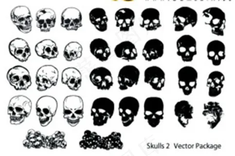 超实用经典矢量花纹元素头骨