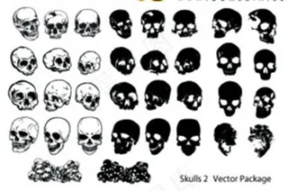 超实用经典矢量花纹元素头骨