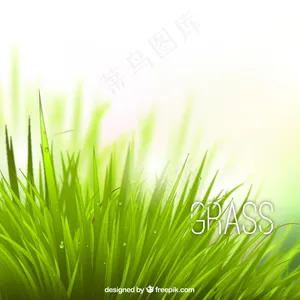 现实的草
