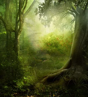 合成绿野仙踪的美女插画PS教程素材