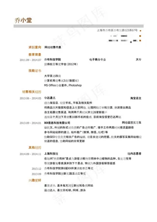 网络销售代表岗位简历模板（突出技能...