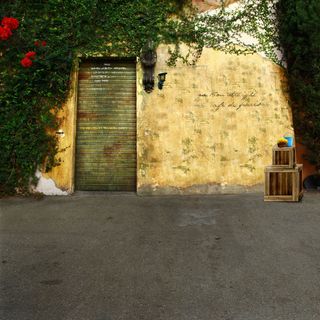 爬满爬山虎的墙壁影楼摄影背景图片