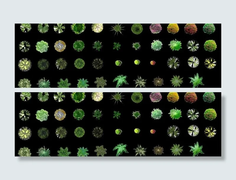 平面植物素材图片psd模版下载