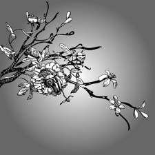 黑色和白色线绘制矢量木棉