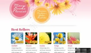 绽放光彩鲜花EMD网页模板