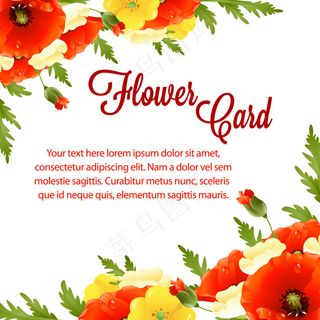 彩色花卡设计