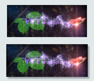 蝴蝶飞舞后的粒子揭示片头特效AE模...