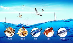 海产品海报图片