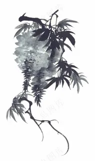 水墨葡萄 水墨葡萄